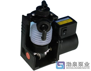 DZ、DS新型波紋管藥液計量泵